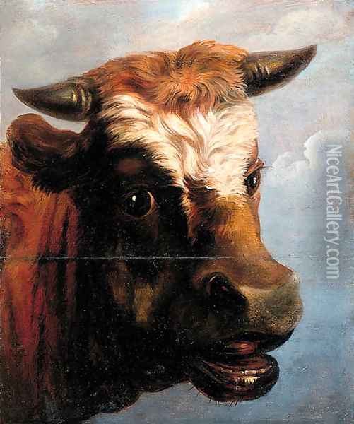 Head of a bull Oil Painting - Jacob van Strij