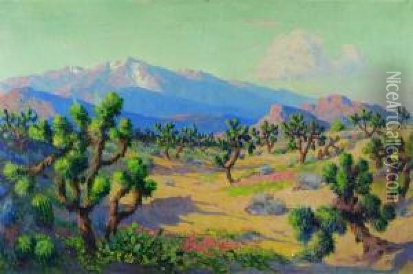Cactus Oil Painting - Christian Siemer
