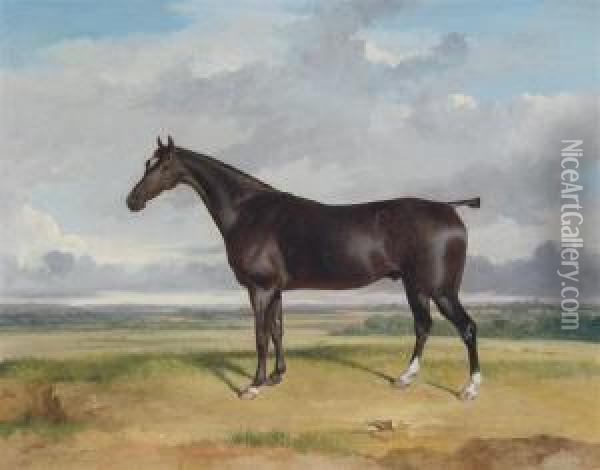 A Hunter In An Extensive Landscape Oil Painting - Thomas Woodward