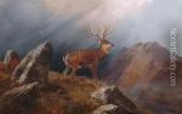 A Stag In A Highland Landscape. Oil Painting - Clarence Roe