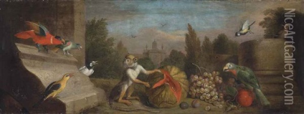 A Capucin Monkey Eating A Melon With A Parrot, A Parakeet, A Golden Oriole And Other Exotic Birds, With Grapes And Plums Beside Classical Ruins Oil Painting - Jakob Bogdani