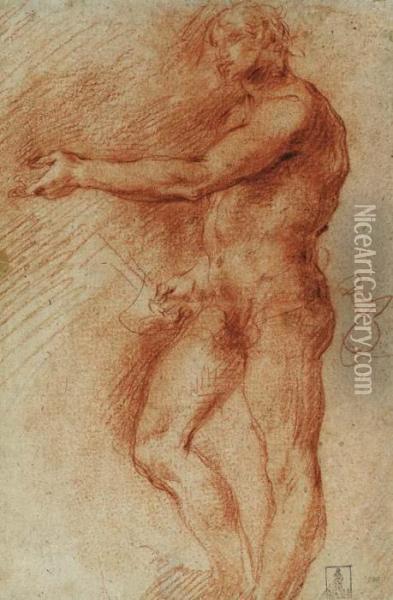 Study Of A Standing Nude Oil Painting - Giovanni Antonio Guardi