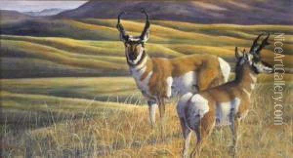 Elk In A Landscape Oil Painting - Sidney Woods