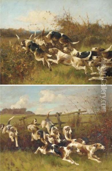 Hounds Of The Leicestershire Pack Oil Painting - Arthur Wardle