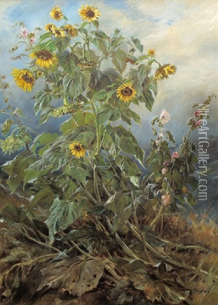 Sonnenblumen Und Malven Oil Painting - Joszi Arpad Koppay