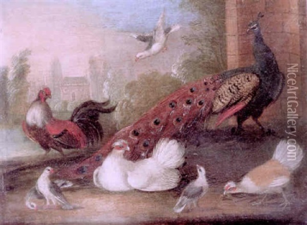 A Concert Of Birds, Including A Peacock, Doves And Fancy Fowl Before A Lake Oil Painting - Marmaduke Cradock