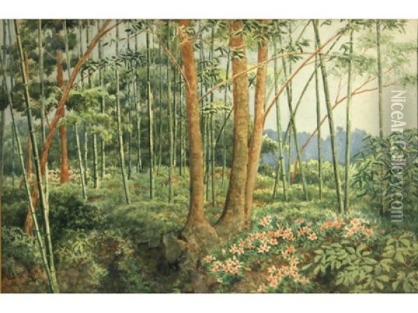 Untitled (bamboo Forest) Oil Painting - Tojiro Oshita