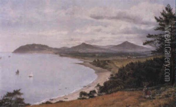 A View Of Dublin Bay Oil Painting - Edmund George Warren