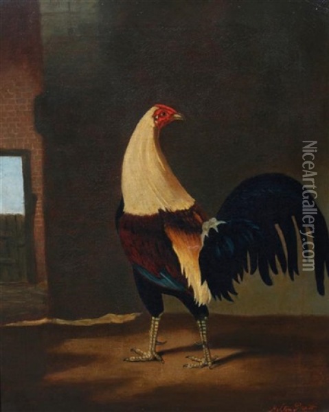 Rooster Oil Painting - Hilton Lark Pratt