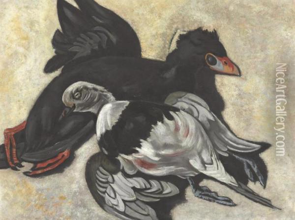 Labrador Ducks Oil Painting - Marsden Hartley