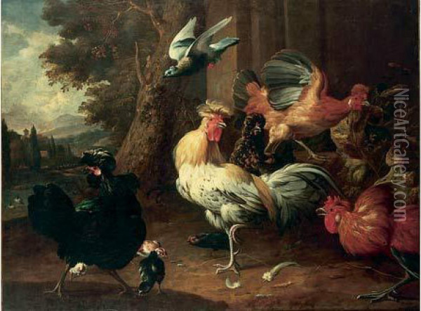 Coq Et Divers Volatiles Sur Fond De Paysage Oil Painting - Melchior de Hondecoeter