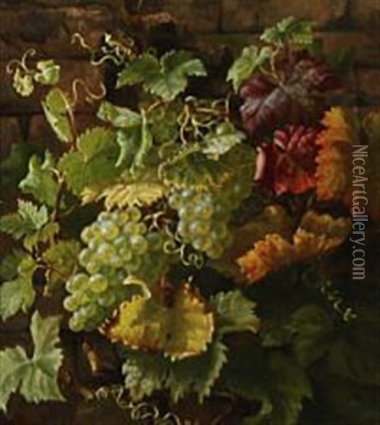 Grapes And Vines On A Wall Oil Painting - Anthonie Eleonore (Anthonore) Christensen