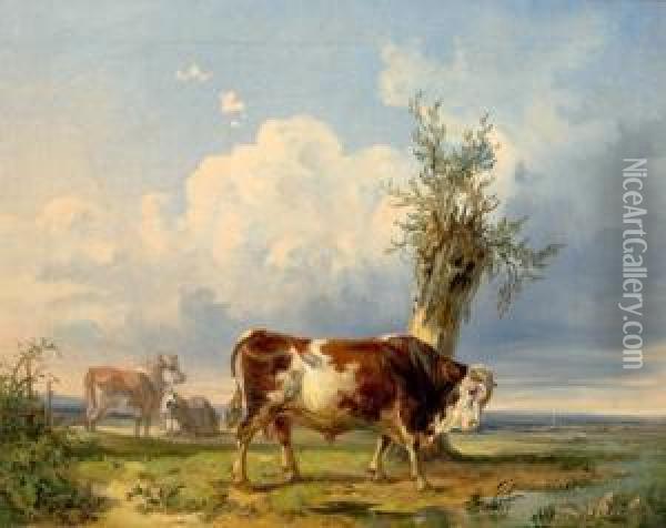 Kuhe Auf Der Weide Oil Painting - Adolf van der Venne