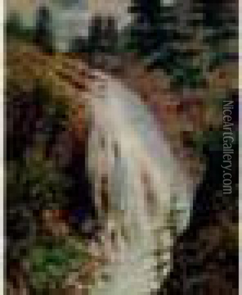 Cascade A Saint Martin Vesubie Oil Painting - Auguste Pegurier