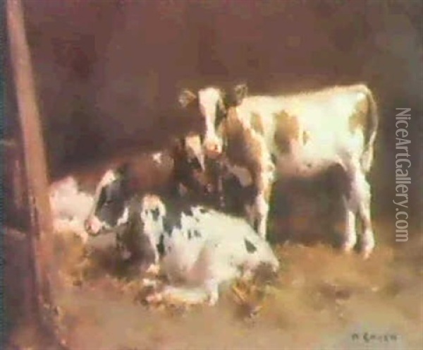 Three Ayrshire Calves In A Barn Oil Painting - David Gauld