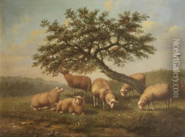 Landscape With Sheep Under A Tree Oil Painting - Arthur De Waerhert