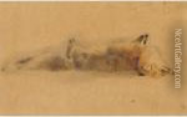 Toter Fuchs 
Dead Fox Oil Painting - Otto Friedrich Meyer-Amden