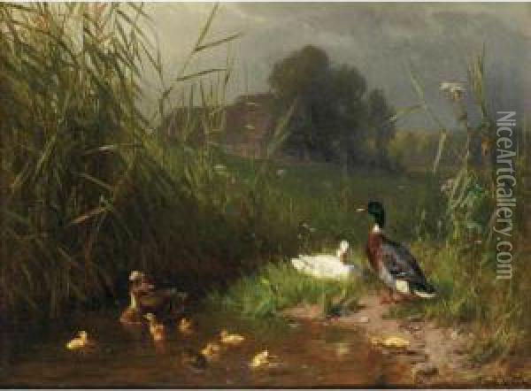 Family Of Ducks Oil Painting - Carl Jutz