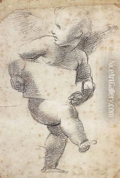 Winged Putto with Cartello Oil Painting - Raphael
