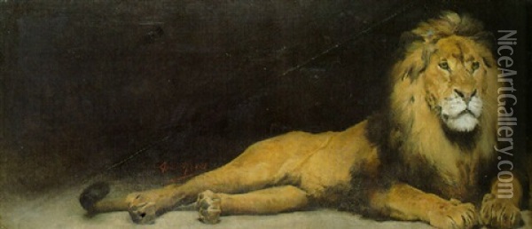 A Lion Oil Painting - Aime Nicolas Morot