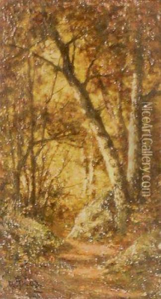 Forest Interior Oil Painting - Narcisse-Virgile D Az De La Pena