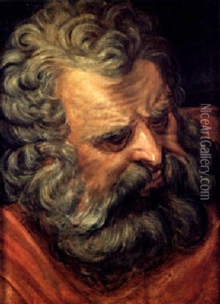 Kopfstudie Eines Bartigen Mannes Oil Painting - Frans Floris the Elder