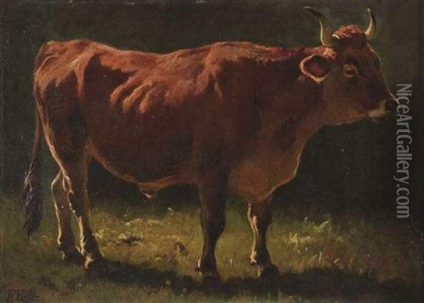 Ochse Oil Painting - Johann Michael (Volz) Voltz