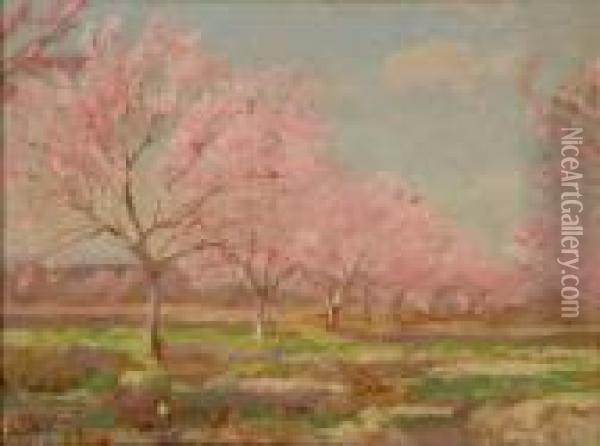A Peach Orchard In Bloom Oil Painting - Julian Onderdonk