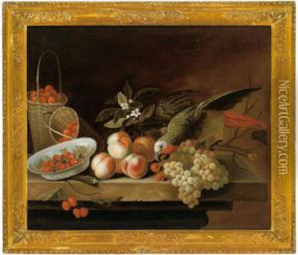 Natura Morta Con Frutta Oil Painting - Jakob Bogdani Eperjes C