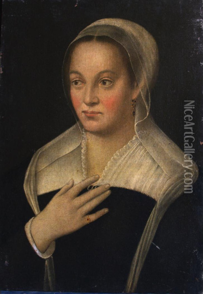 Girl In A White Cap Oil Painting - Sofonisba Anguissola