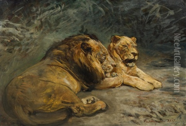 Pair Of Lions Oil Painting - Paul Friedrich Meyerheim