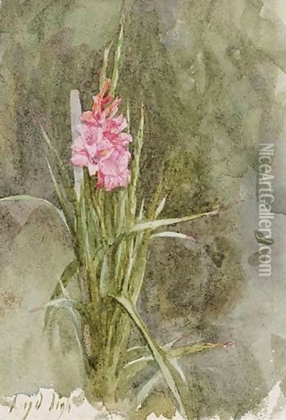 Pink Gladiolae Oil Painting - Helen Mary Elizabeth Allingham