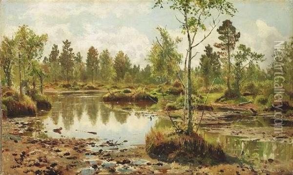Schischkin, Iwan . Summery Birch Forest With A Pond Oil Painting - Ivan Shishkin