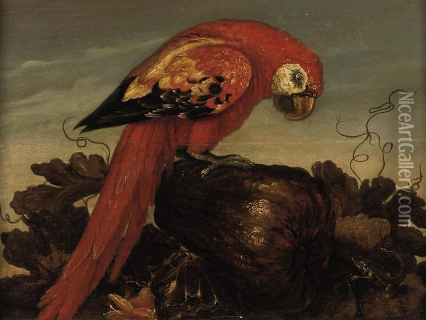 A Parrot Sitting On A Large Vegetable Oil Painting - Abraham Bosschaert