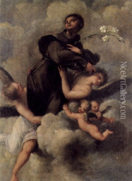 Der Heilige Antonius Wird Von Engeln Zum Himmel Emporgetragen Oil Painting - Giuseppe Maria Crespi