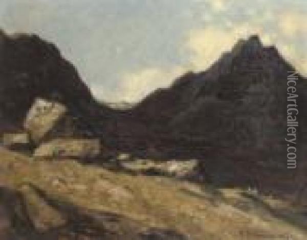 Among The Arran Hills Oil Painting - David Young Cameron