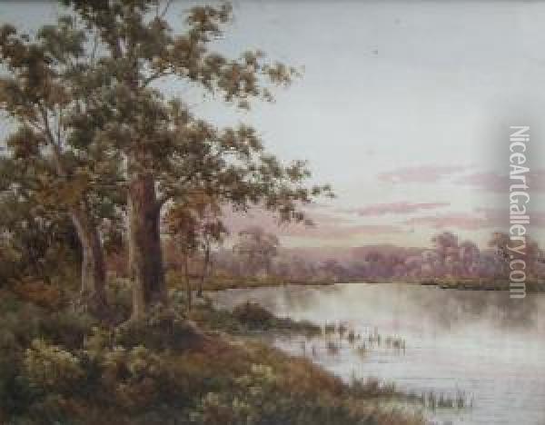 Wetlands Oil Painting - Neville, Will. Cayley Jnr.