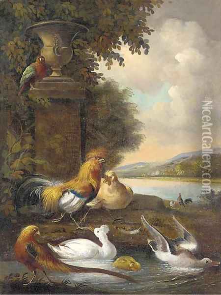 Cockerels, a hen, ducks, a pheasant, and a parakeet, in a river landscape Oil Painting - Melchior de Hondecoeter
