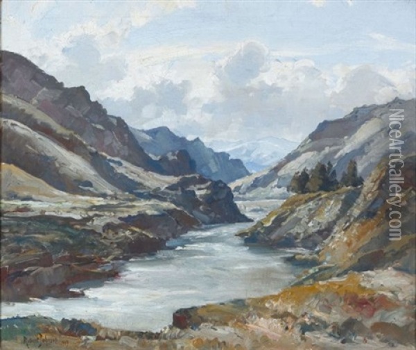 Cromwell Valley, Otago Oil Painting - Robert Johnson