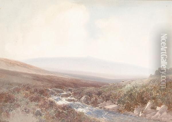 Moorland Landscape Oil Painting - Frederick John Widgery