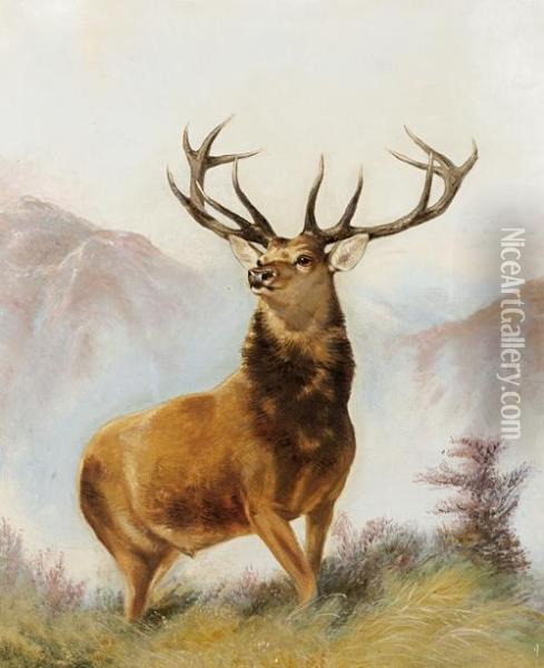 A Highland Stag Oil Painting - Robert Cleminson