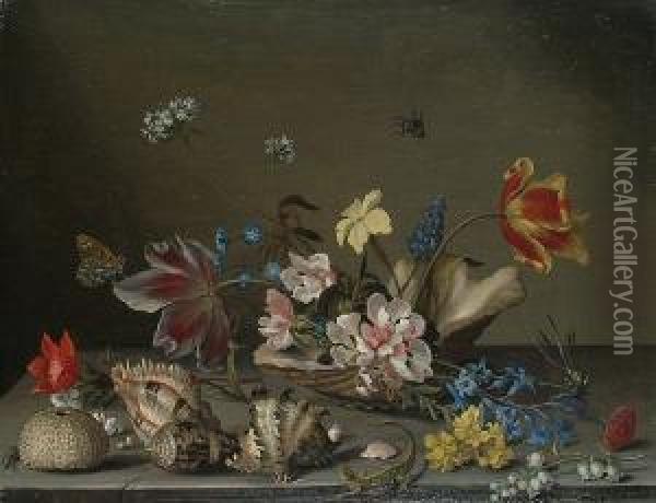 A Still Life Of Flowers 
Contained Within A Shell On A Ledge, With Scattered Shells And Lizard 
Beside It. Oil Painting - Balthasar Van Der Ast
