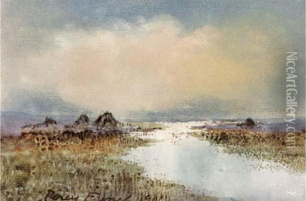 Peat Marshes Oil Painting - William Percy French