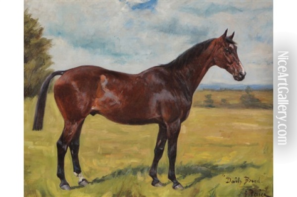 A Horse In A Field Oil Painting - George Paice