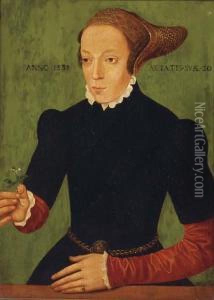Portrait Of A Lady Oil Painting - Bartholomaeus I Bruyn