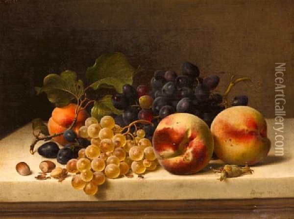 A Still Life With Peaches, Grapes And Hazelnuts Oil Painting - Johann Wilhelm Preyer