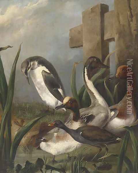 Ducks, a moorhen, an auk and a dragonfly by a river Oil Painting - Aert Schouman