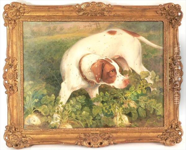 A Hunting Dog Oil Painting - Edwin Frederick Holt