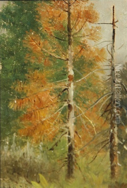 Mount Tallac; Dead Pine, Lake Tahoe; Chinatown, San Francisco Before The Fire Of 1906 (group Of 3) Oil Painting - Edwin Deakin