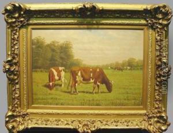 Cattle Grazing In A Field Oil Painting - Clinton Loveridge